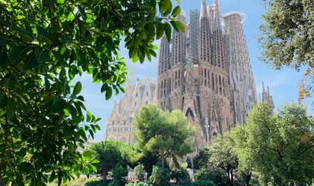 5 Green Factors that Draw Students to ESEI Barcelona