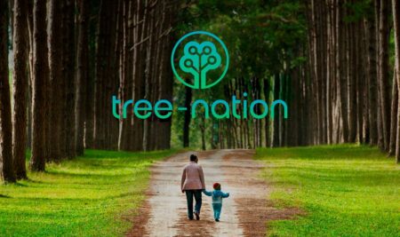 Crescere insieme: l'iniziativa Trees Nation e gli straordinari risultati ottenuti dall'ESEI nella piantumazione di alberi dell'anno!