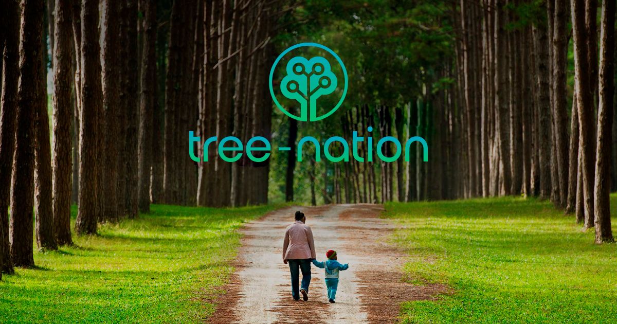 Nation de l'arbre