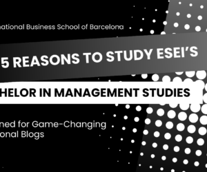 top 5 reasons to study a bachelor in management studies